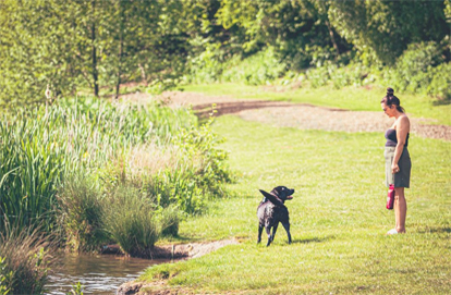 Lady Walking Dog Around Lake