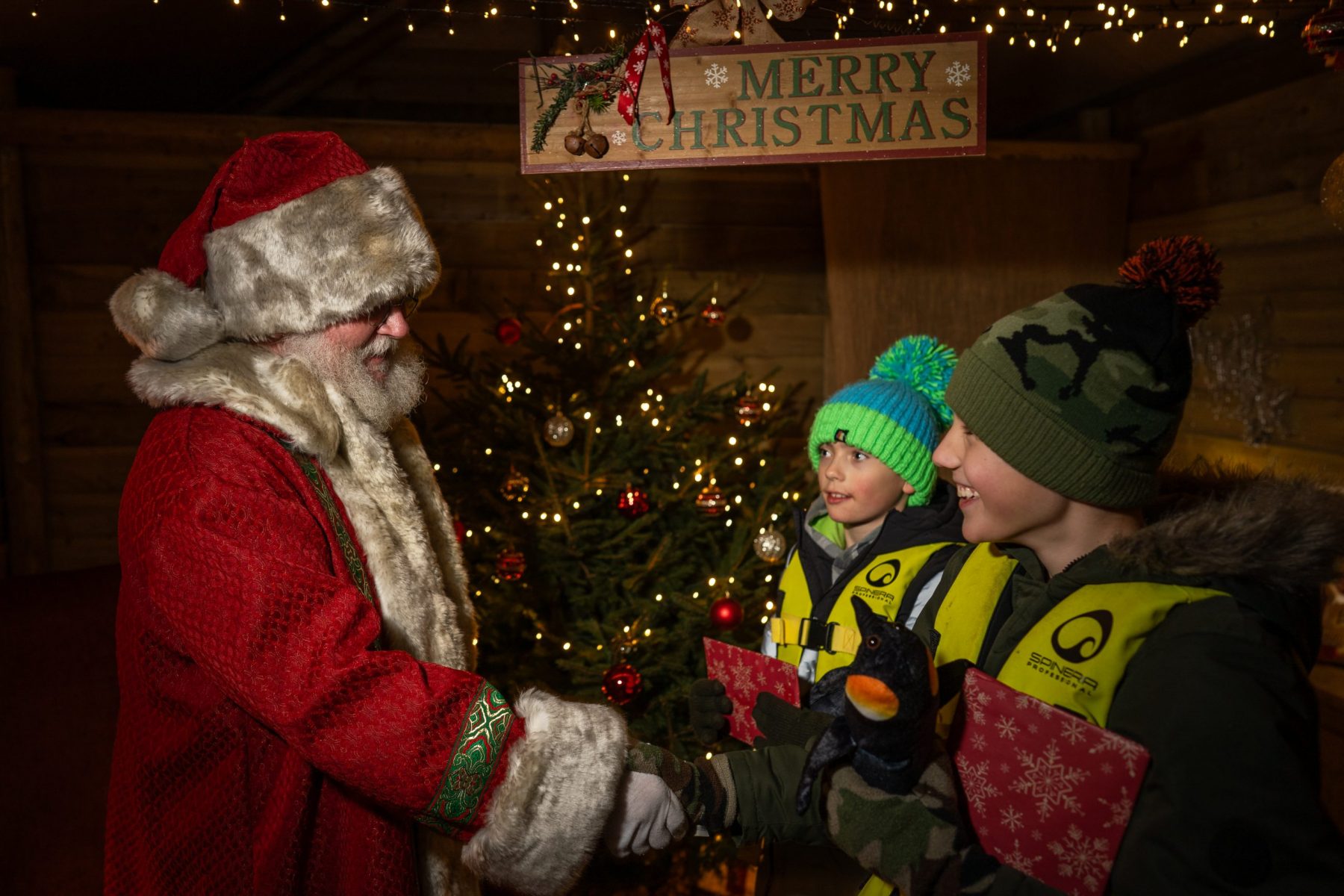 Alderford Lake Christmas