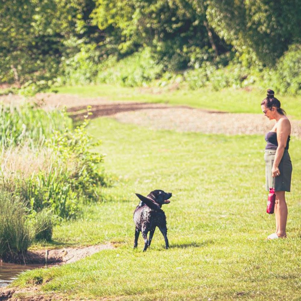 Walking, Summer Holiday Activities in Shropshire