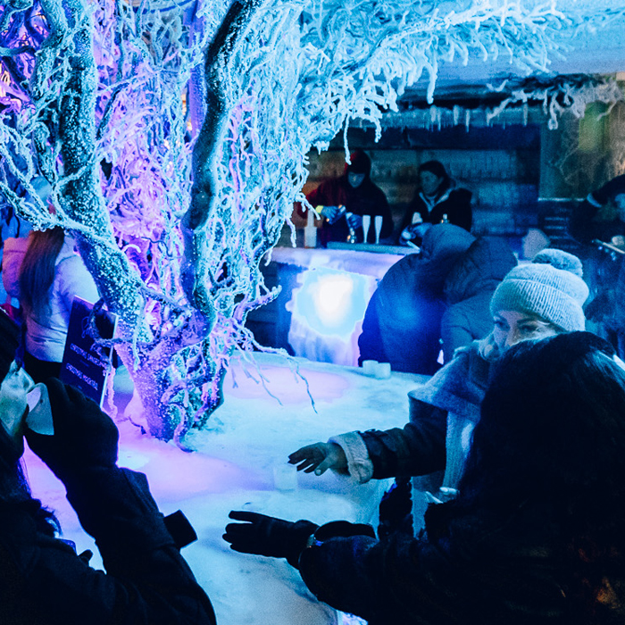 Things To Do At Christmas Near Wrexham