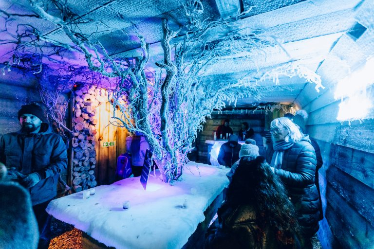 Woodland Ice Bar Near North Wales